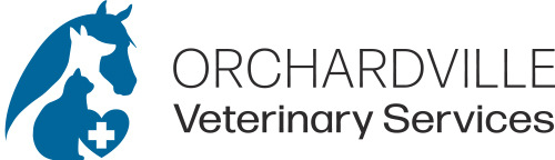 Veterinarian